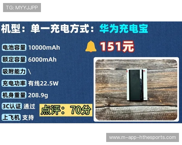 质量门背后：国产充电宝品牌的压力与挑战，国产充电宝牌子